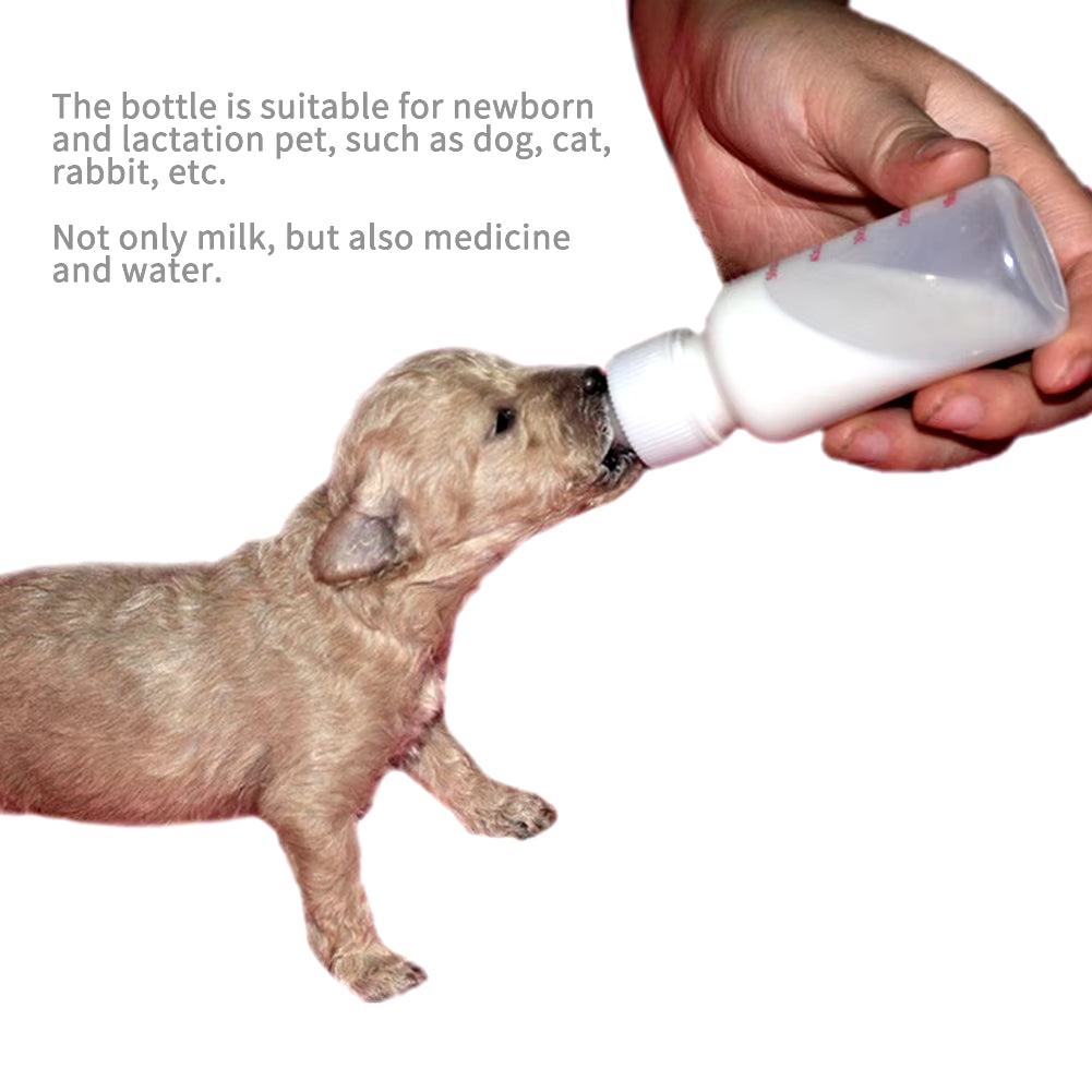 Puppy Feeding Bottle Kit with Storage Case 