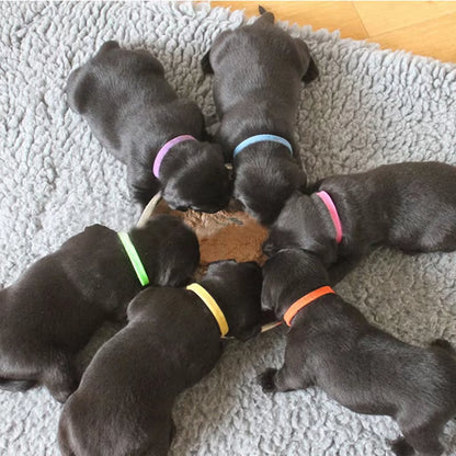 12Pcs Puppy Identification Collar/Whelping ID Collar